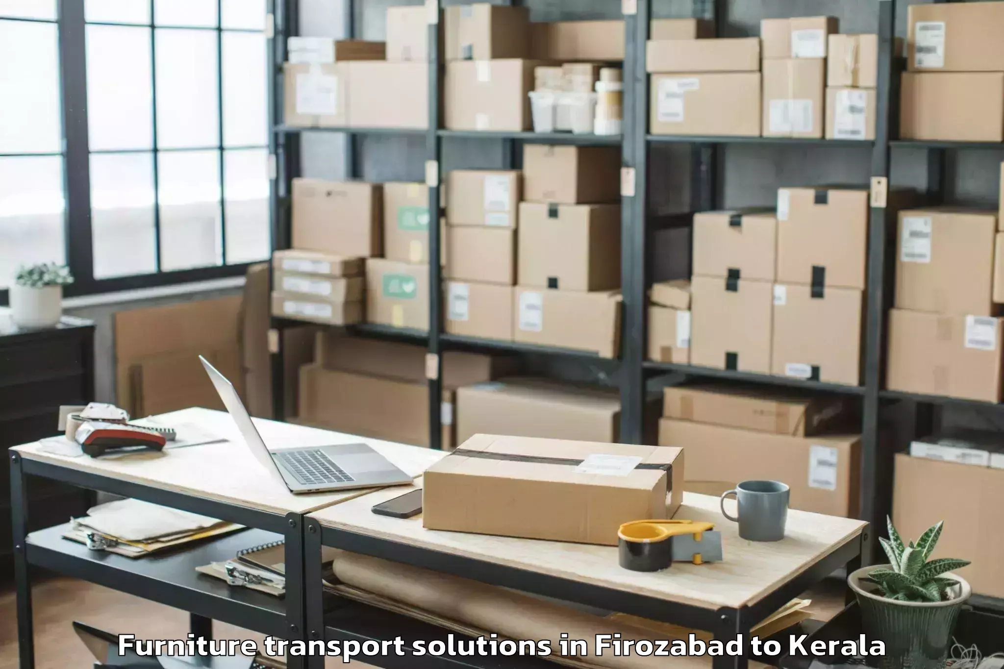 Professional Firozabad to Karunagappally Furniture Transport Solutions